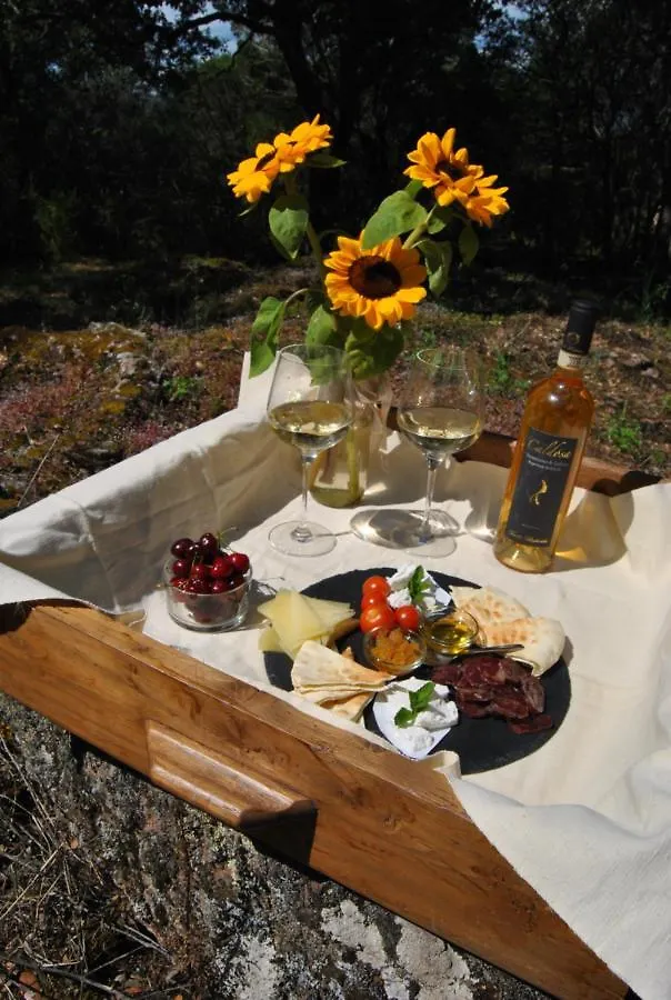 Luksusowy namiot Hotel Pasare Glamping_Anglonaruralexperience Perfugas